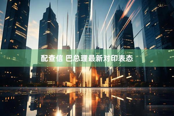 配查信 巴总理最新对印表态