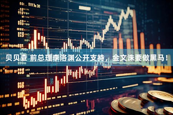 贝贝查 前总理李洛渊公开支持，金文洙要做黑马！