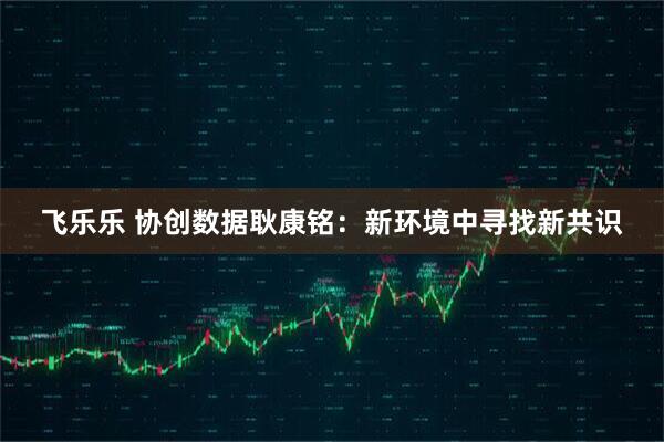 飞乐乐 协创数据耿康铭：新环境中寻找新共识