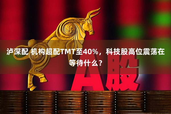 泸深配 机构超配TMT至40%，科技股高位震荡在等待什么？