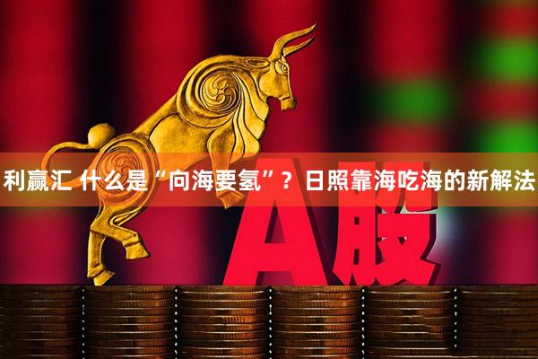 利赢汇 什么是“向海要氢”？日照靠海吃海的新解法