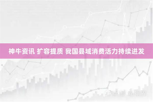 神牛资讯 扩容提质 我国县域消费活力持续迸发